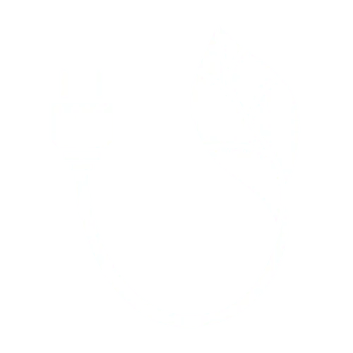 Sustainability
